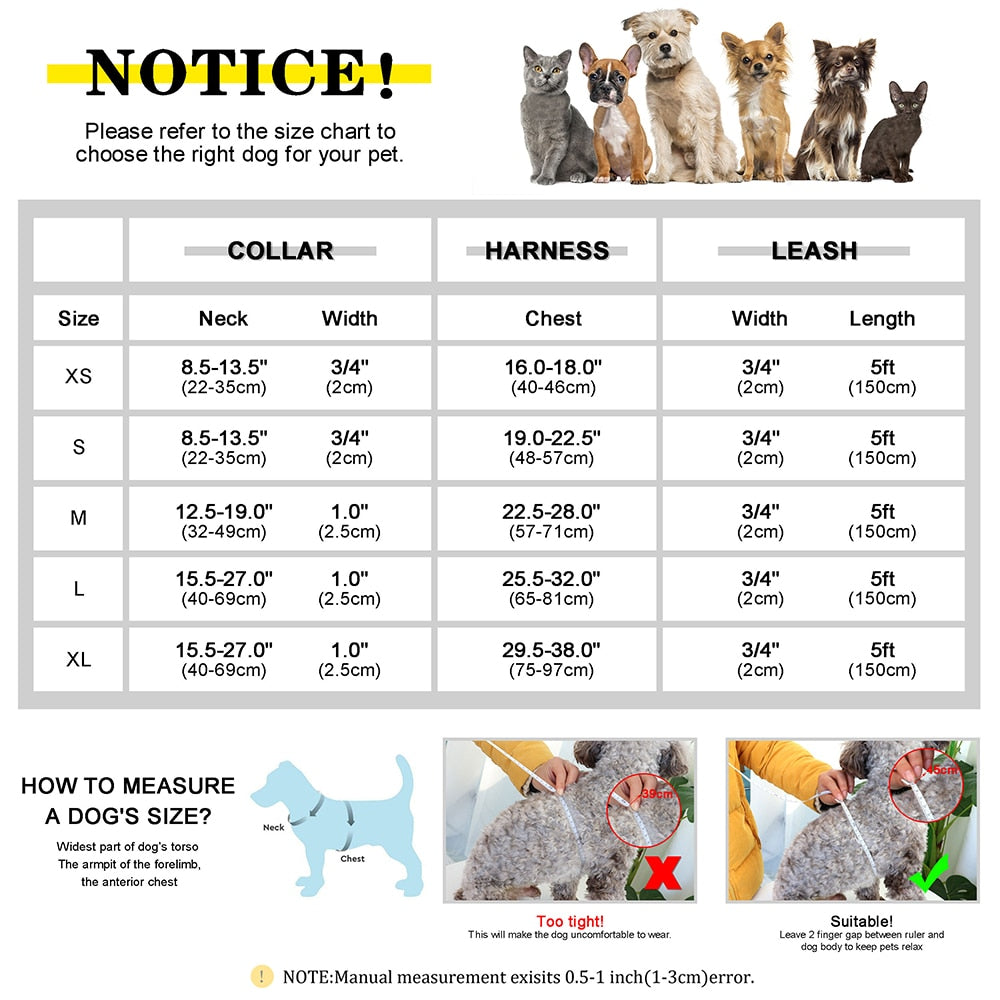 Personalized Set Collar Harness Leash