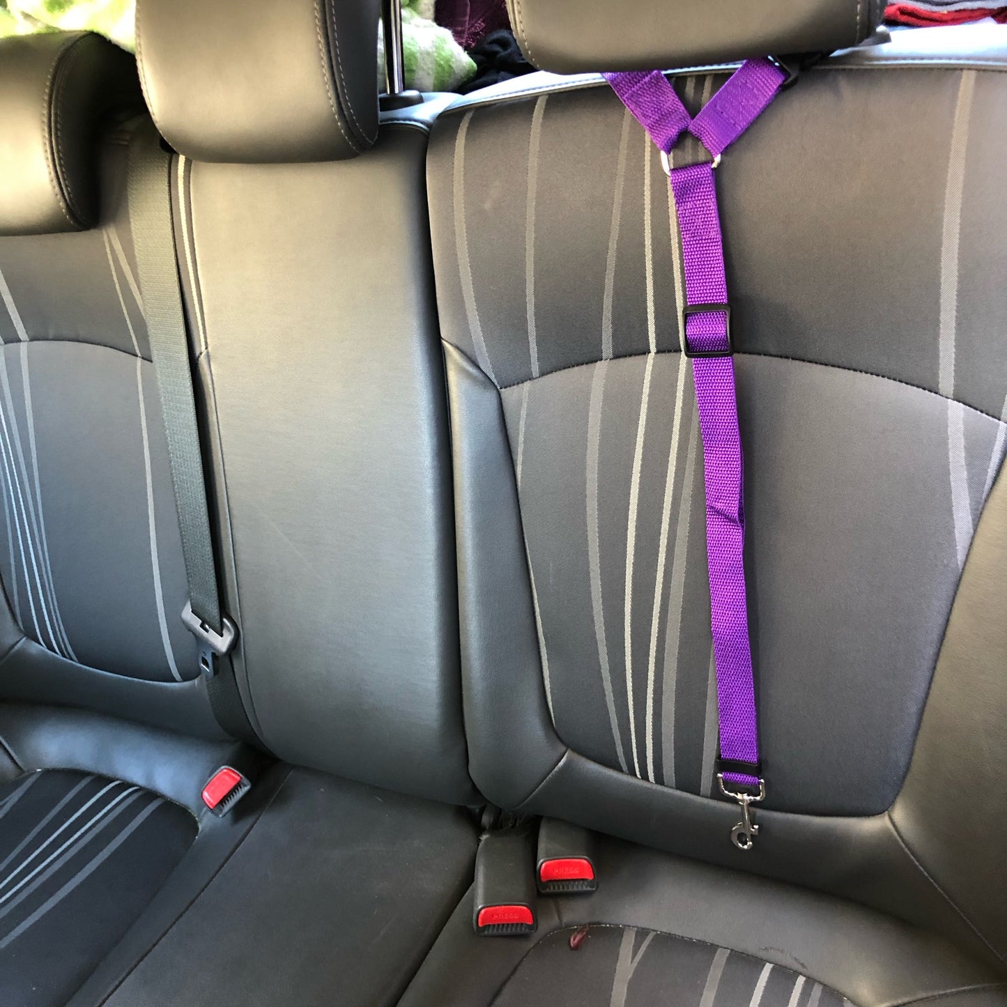 BackSeat Safety Belt