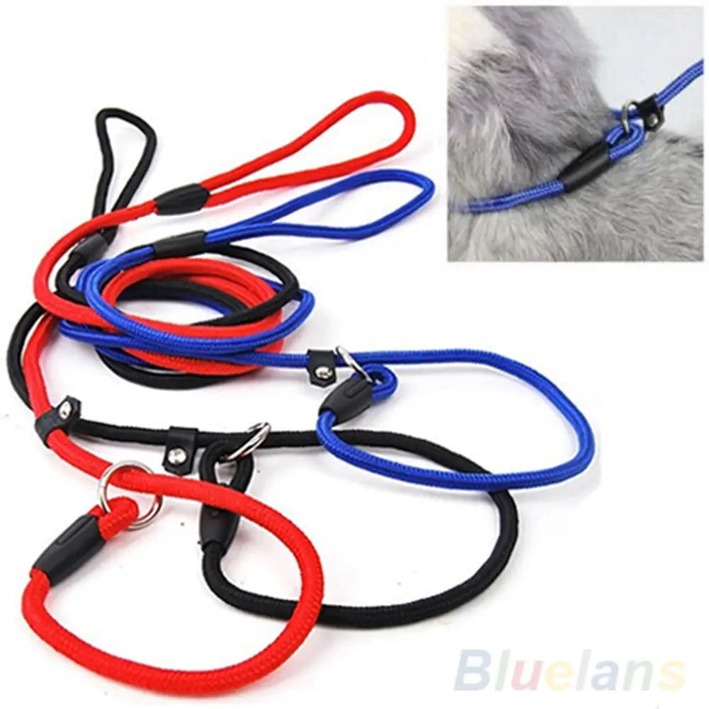 Training Leash