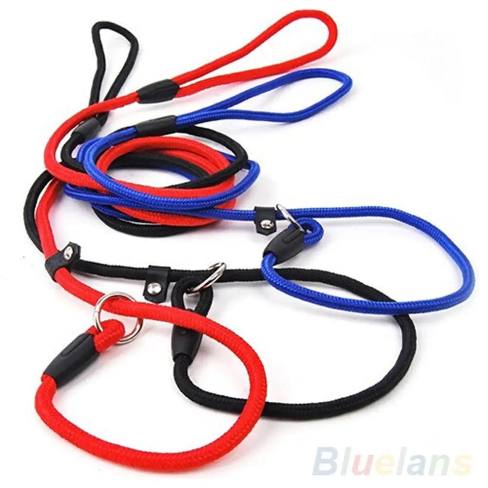 Training Leash