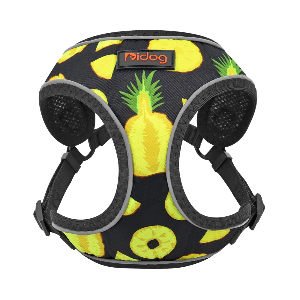 45838384660695|45838385217751|45838385250519|45838385283287