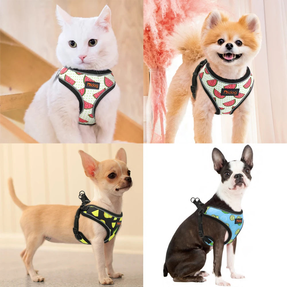 Reflective Harness