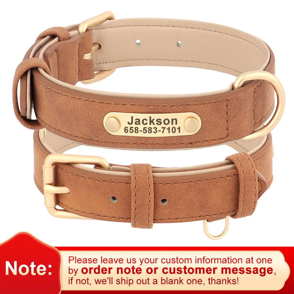 45838409400535|45838409433303|45838409466071|45838409498839