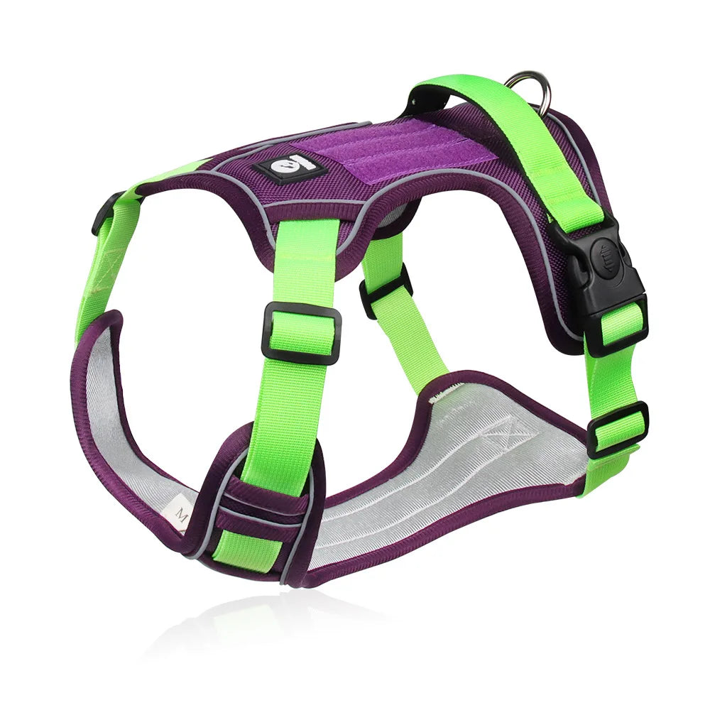 Puppy Harness