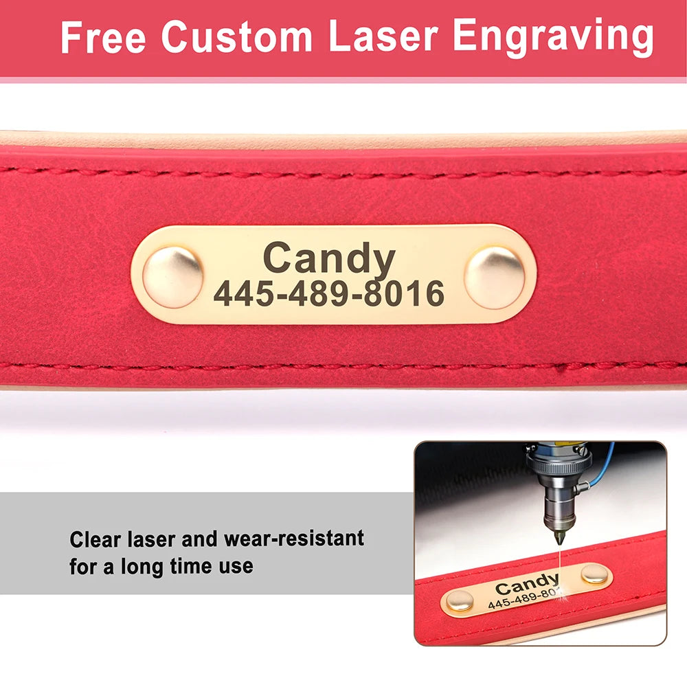 Leather Collar Leash