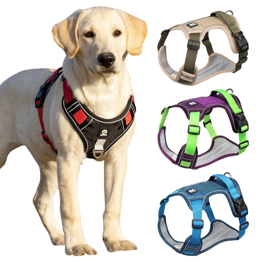 Puppy Harness