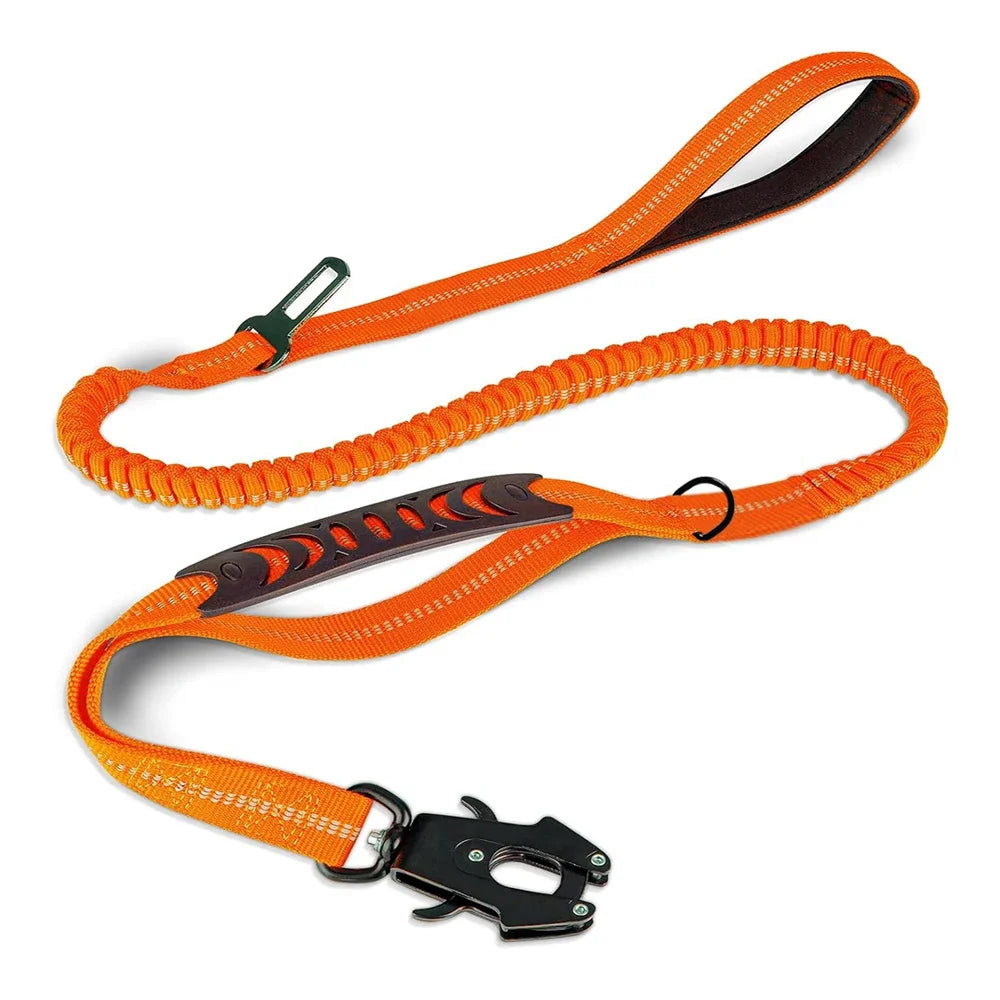 Reflective Shock Leashes