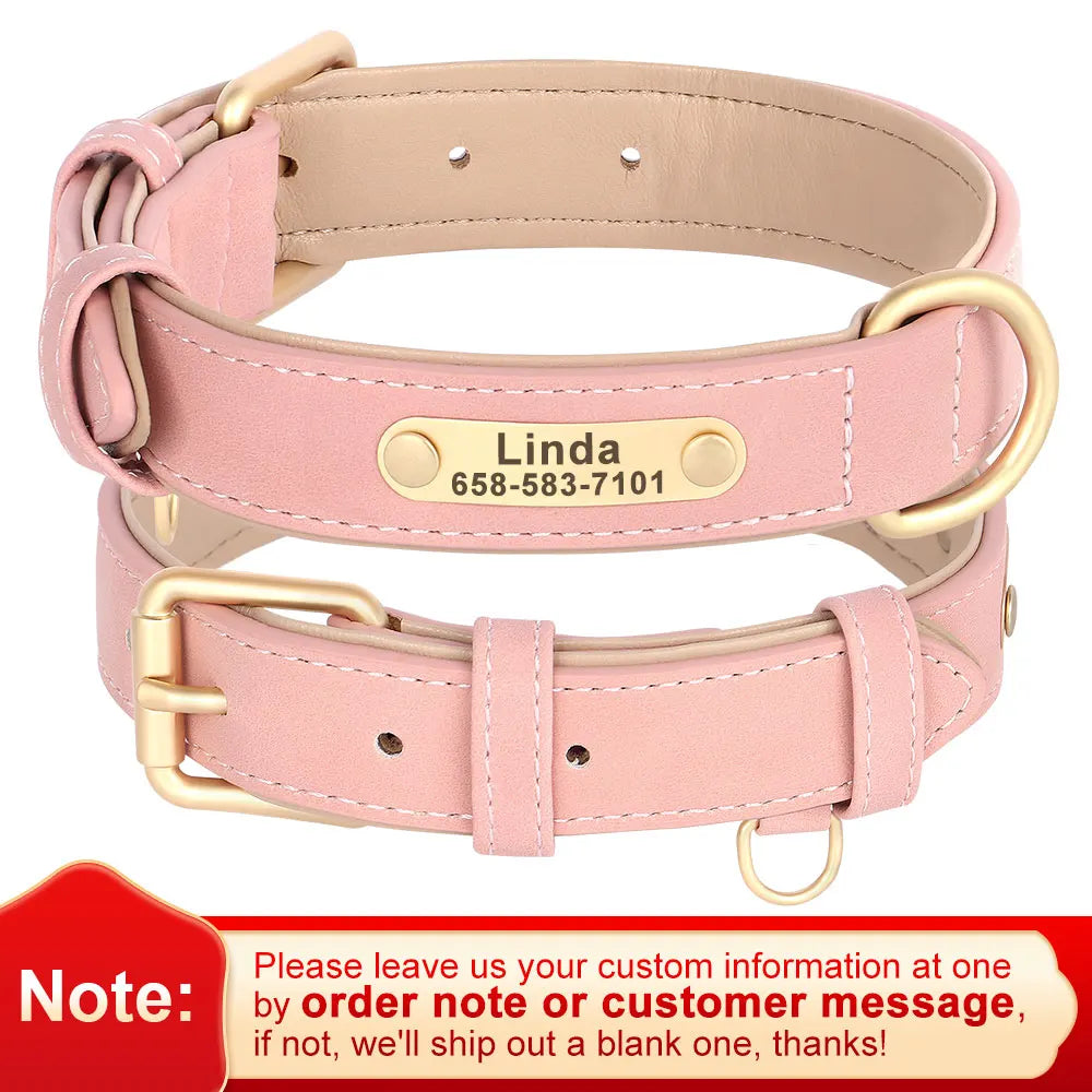 45838409269463|45838409302231|45838409334999|45838409367767