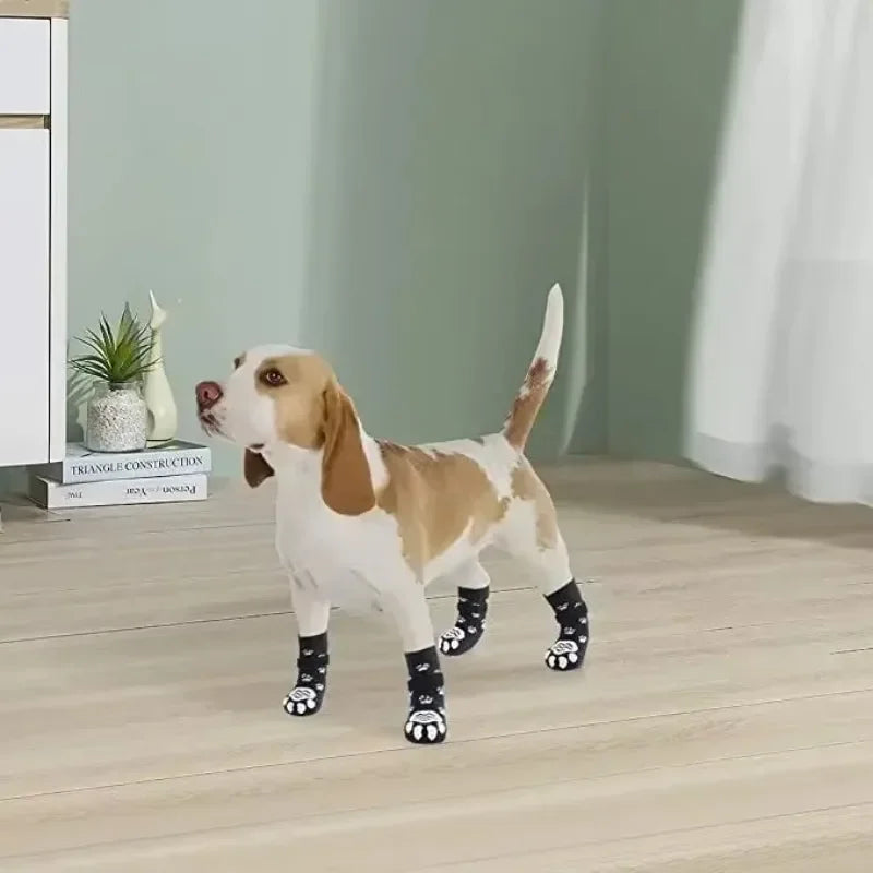 Paw Shoes