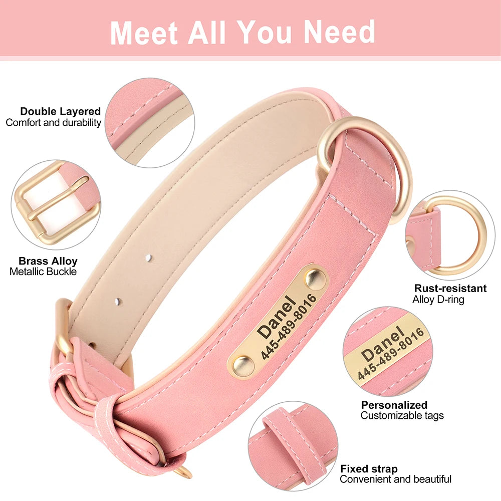Leather Collar Leash