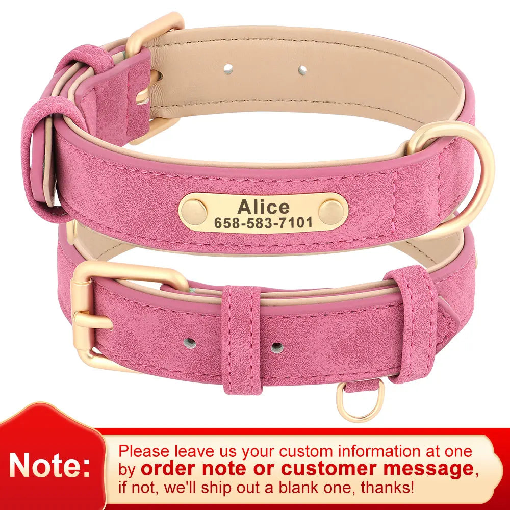 45838408351959|45838408384727|45838408417495|45838408450263