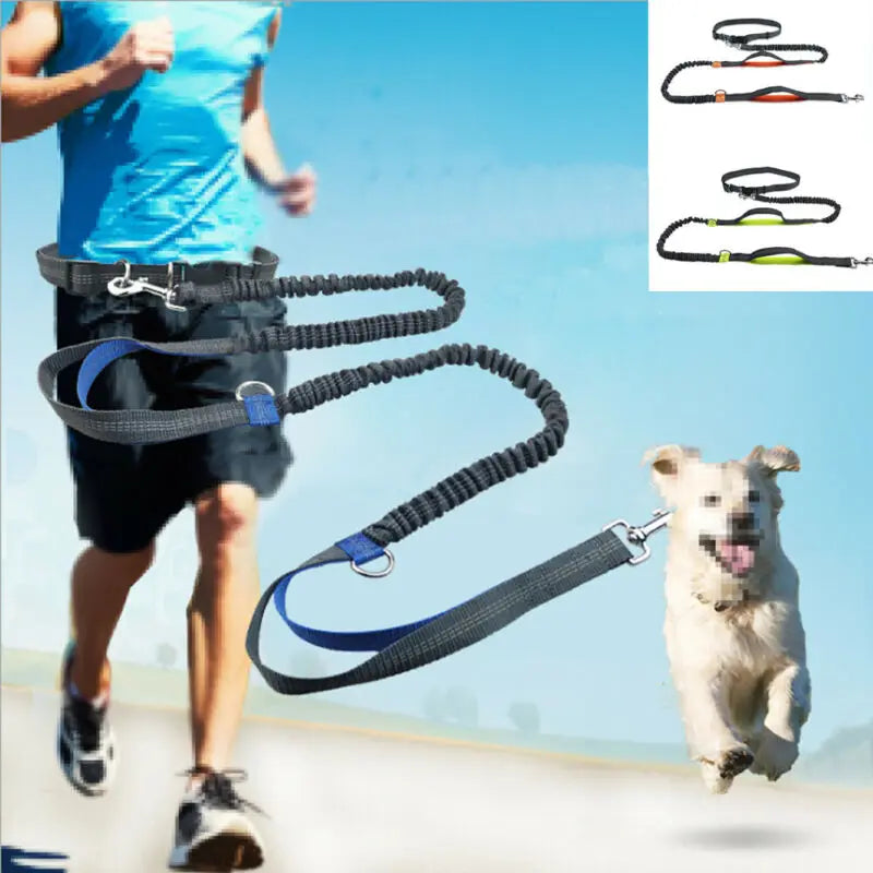 Running Belt