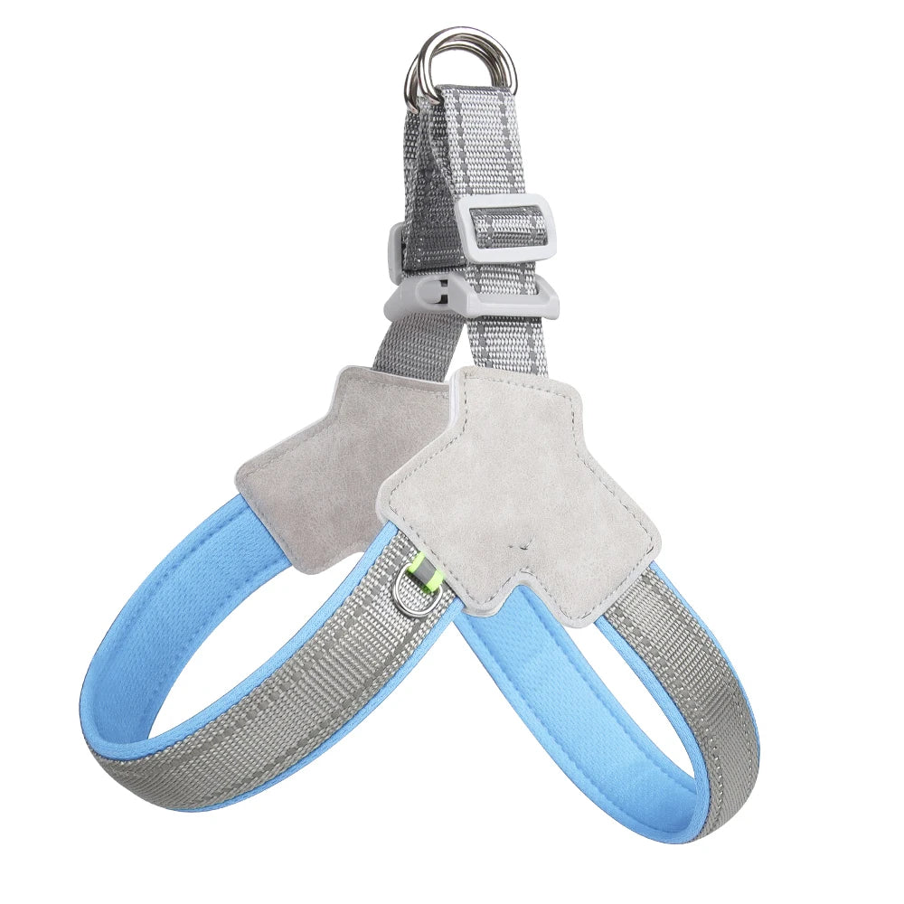 Reflective Harness