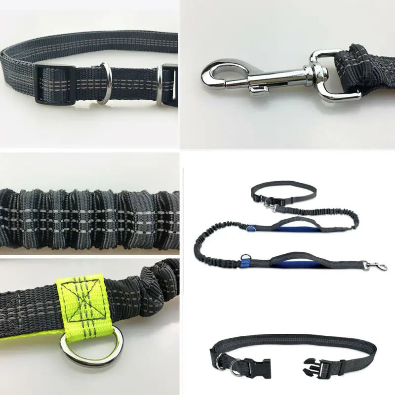 Running Belt