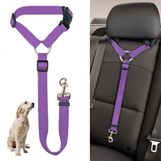 BackSeat Safety Belt